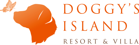 DOGGY'S ISLAND